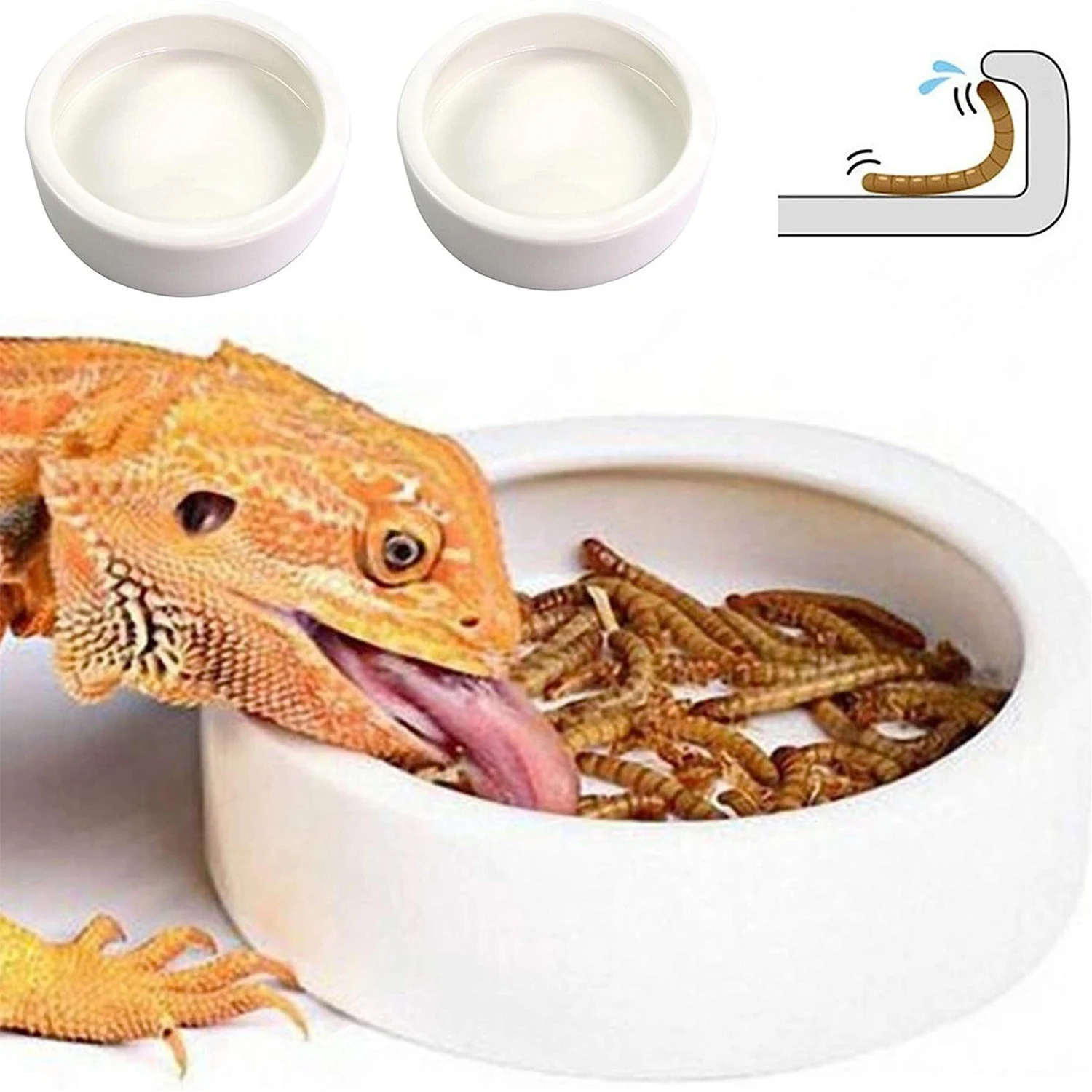 Reptile Food Feeding Bowl Worm Anti-Escape Ceramic Feeder Dish for Hermit Crab Leopard Gecko Chameleon Corn Snake Feeding