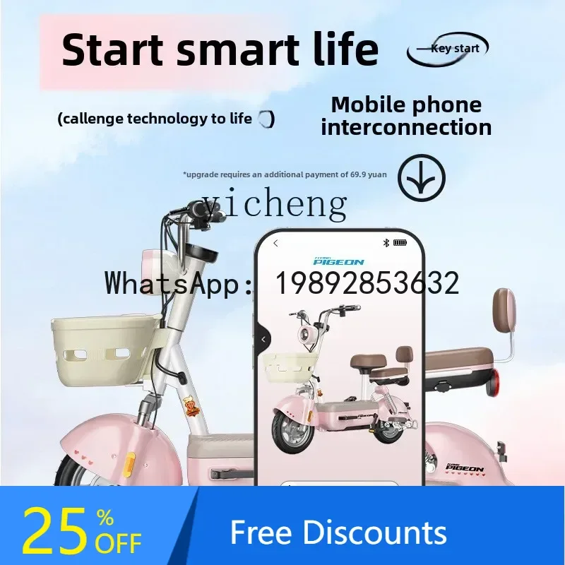 AB  yuan universe pro small electric donkey battery car small girl flying pigeon mini work transportation electric car