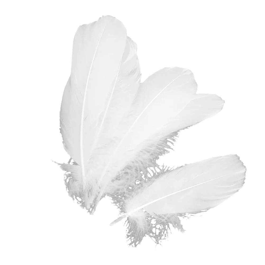 

150Pcs Natural White Goose Pure for DIY Wedding Party Dress-Up Boho Garland Backdrop Table Decoration