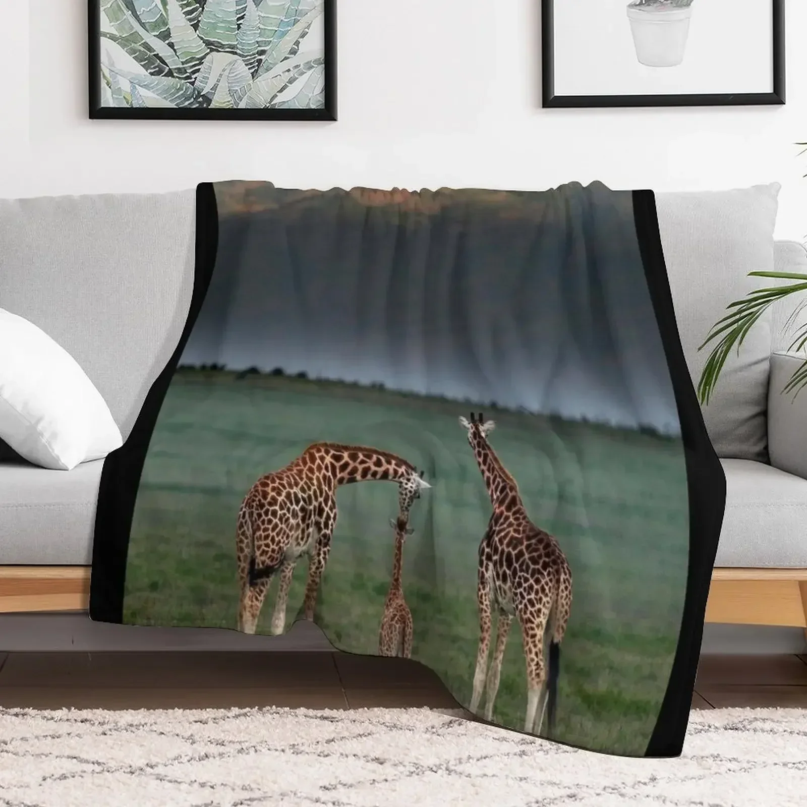 

Giraffe Family Pilansberg National Park Throw Blanket Cute Luxury Brand Blankets