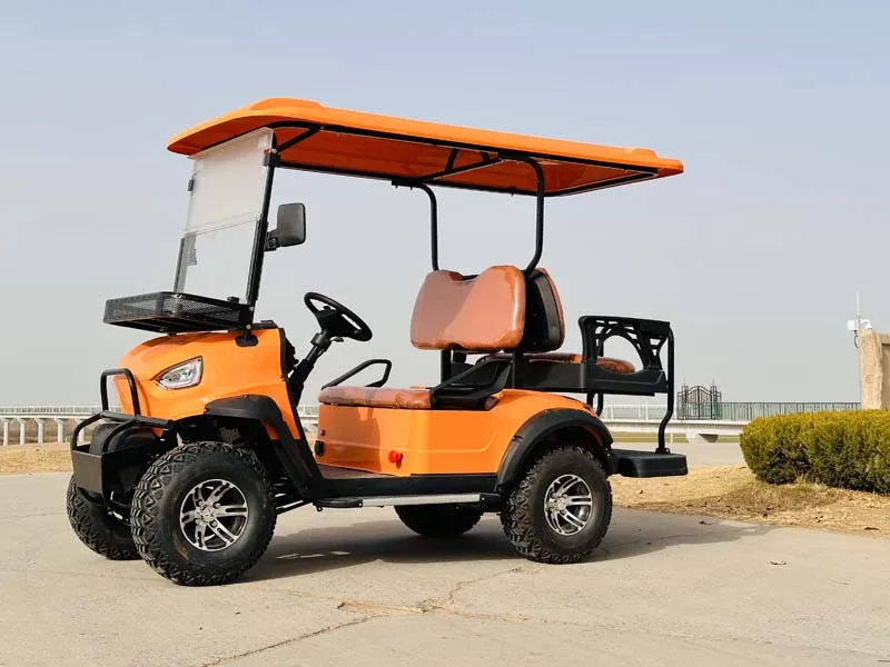المصنع مباشرة عربة الغولف الكهربائية CE للبيع #2