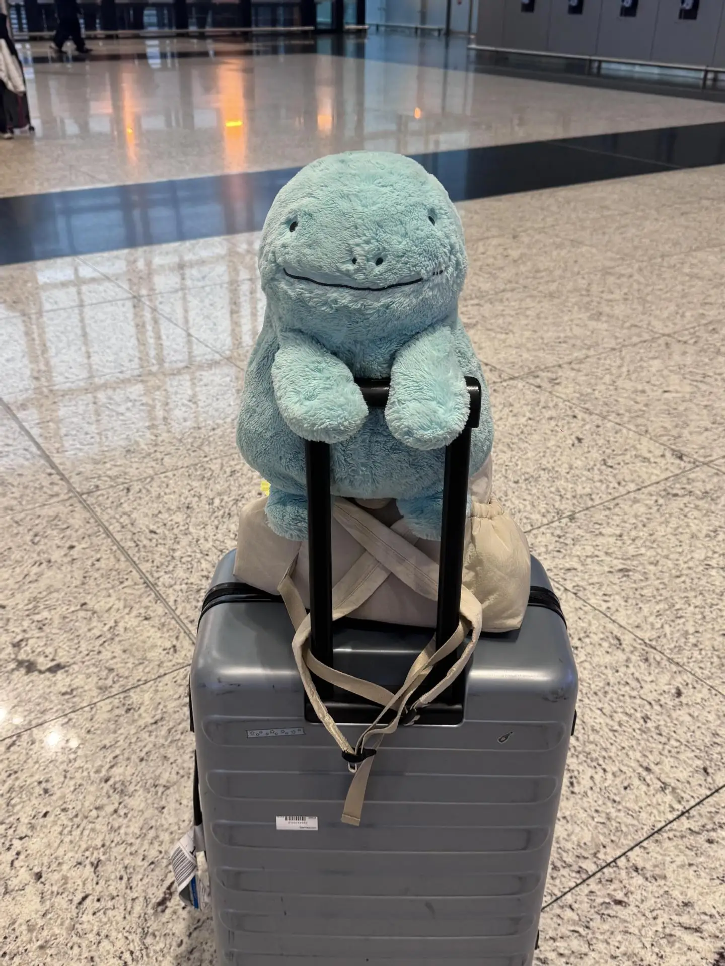 35/50/70cm Niedliches Taschenelf-Quagsire-Plüschtier, weiches, flauschiges Anime-Stofftier, Kawaii-Plüschkissen, Heim-Sofa-Deko, Geburtstagsgeschenk – Detail 4