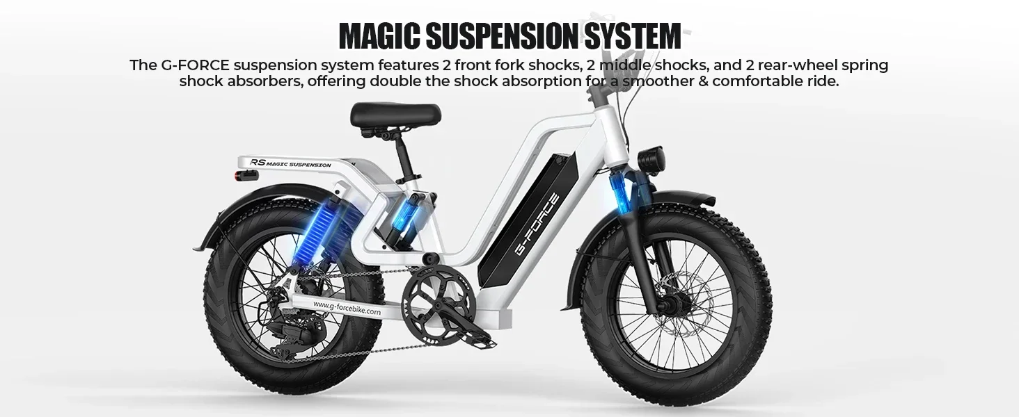 دراجة كهربائية نمط جديد محرك 750 واط 48 فولت 25 أمبير بطارية الكبار دراجة كهربائية 20 بوصة الإطارات جميع التضاريس منطقة جبلية E-الدراجة #6