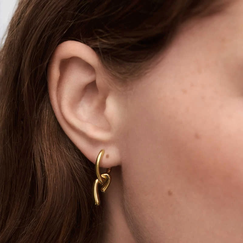 New Fashion Gold Silver Knotted Designer Earrings Woman Europe Jewelry Holiday Gifts 4