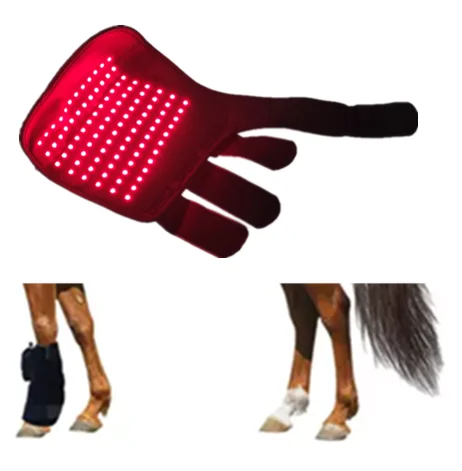 Factory Outlet Pet Red Light Therapy Equine Feet Boot Head Back 660nm 850nm Infrared Red Light Therapy For Horse