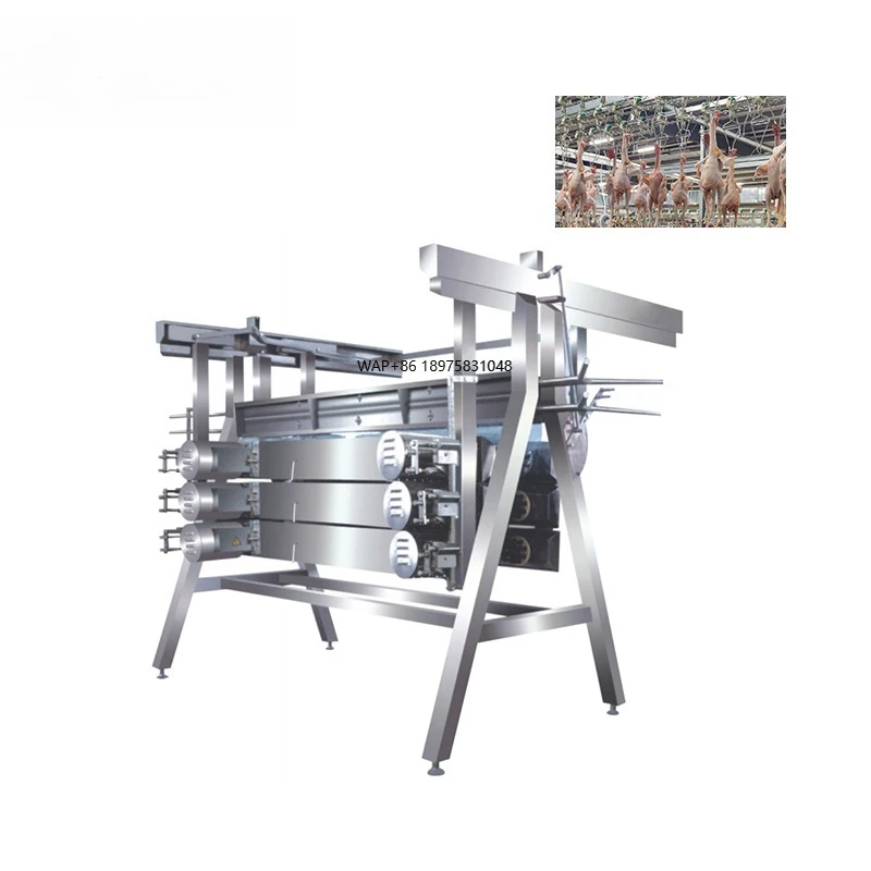 Small Automatic Chicken Slaughter Plant Chicken Slaughter Small Line Machine