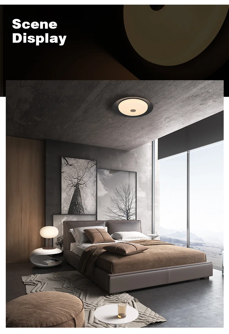 Aisilan LED Surface Mounted Ceiling Lights Nordic Lamp Led Living Room Lights Led Ceiling For Bathroom Foyer Dining Room E27