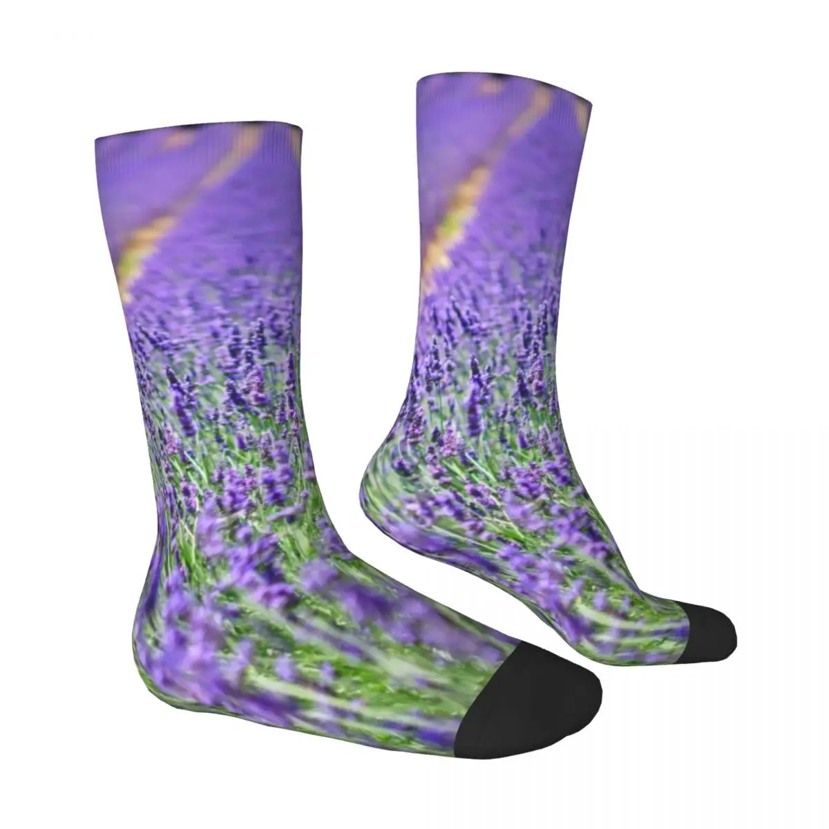 Fields Of Lavender Stockings Purple Flowers Print Graphic Casual Socks Autumn Anti Sweat Socks Unisex Climbing Medium Soft Socks