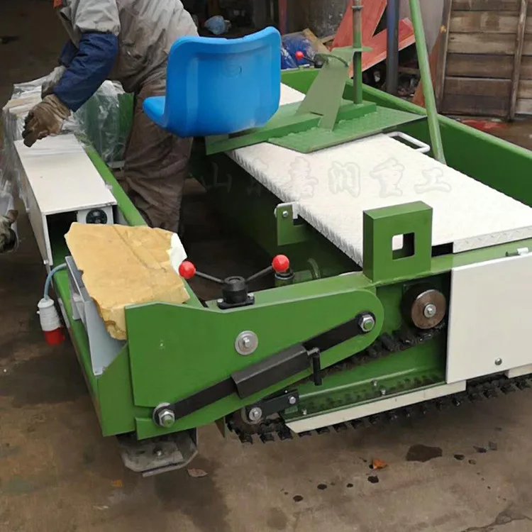 HCY Double row green onion transplanter, four-seat green onion seedling planter, pepper seedling green onion planter