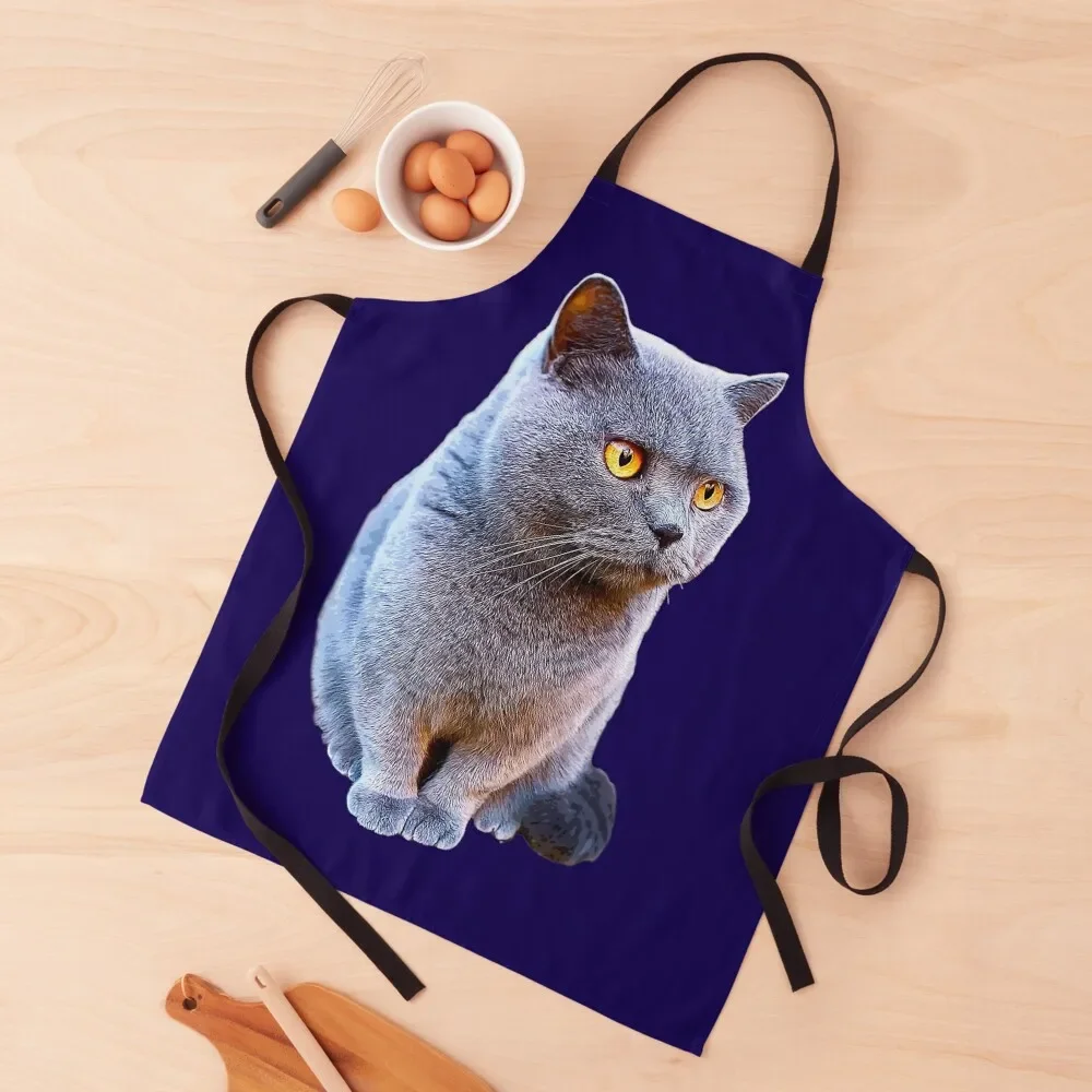 British Shorthair Cat Blue Apron cook wear Home Cleaning nail tech supplies Things For The Kitchen Apron