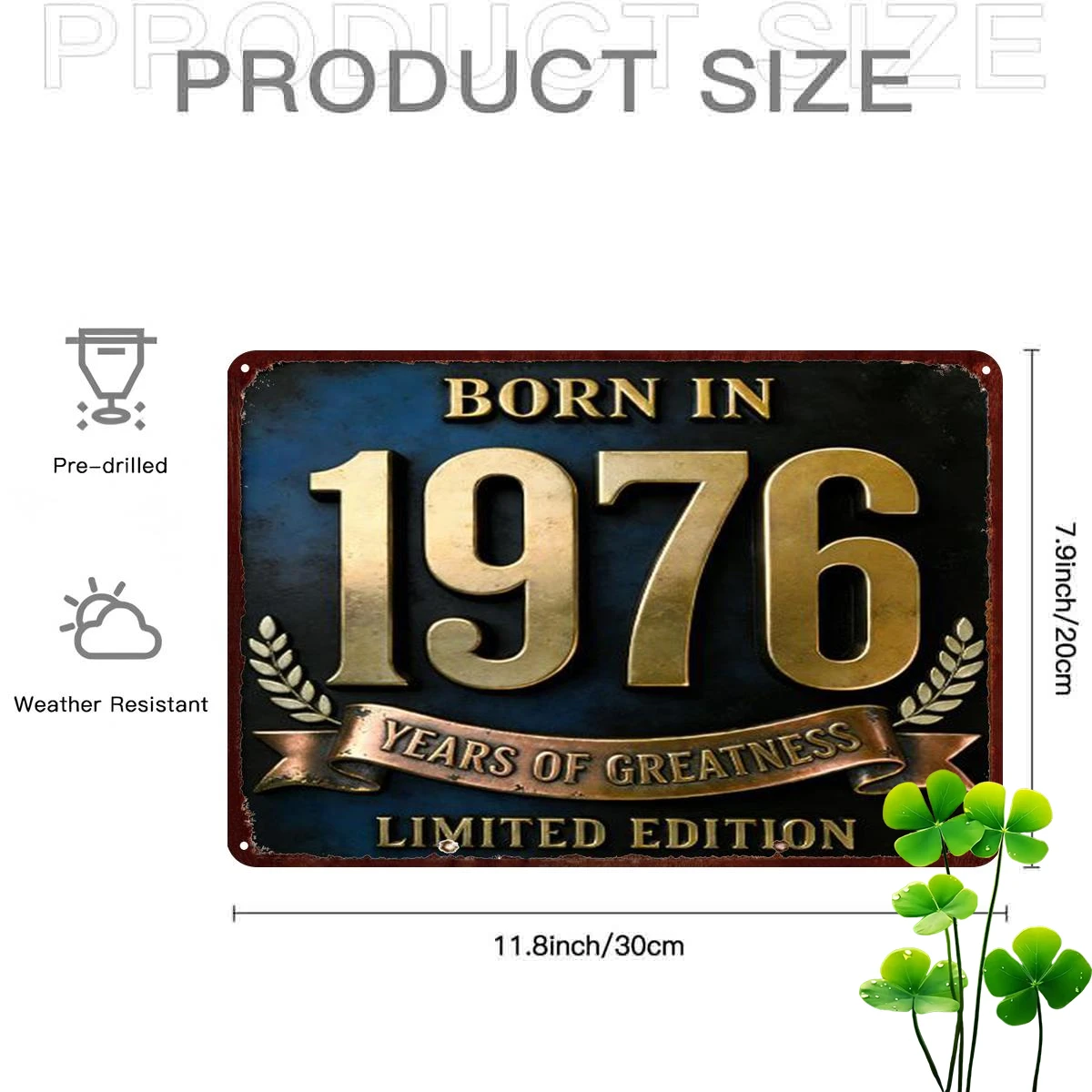 2D Flat, 2D Flat 1pc, 