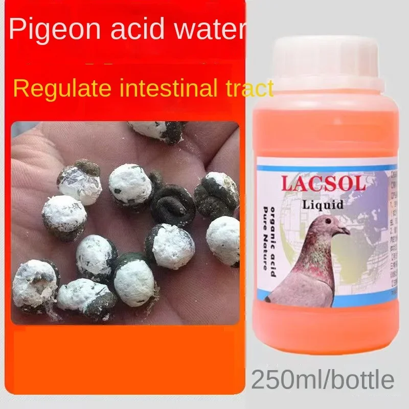 

Pigeon Acid Water Treasure 250ml Baiyi Live Bacteria Loose Stool Water Stool Green Stool