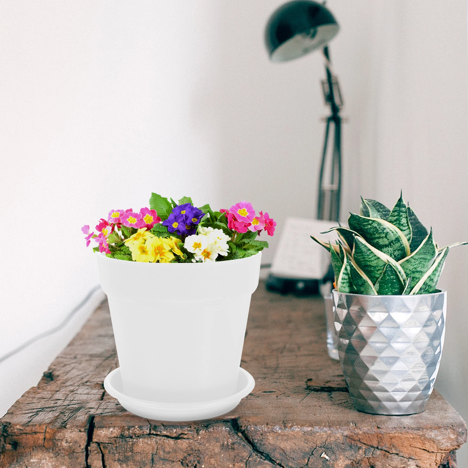 

10 set Plastic Flower Pot Mini Bonsai Garden Planter Round Nursery Pot Drainage Tray for Succulents Herbs Office