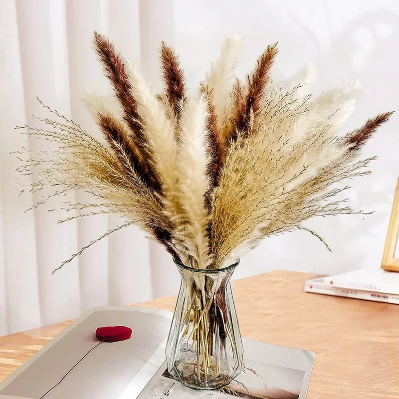 

60Pcs Home Decoraction Chambre Luxury Fully Pampas Grass Dried Flowers Wedding Accessories Fleur Sechee Naturelle