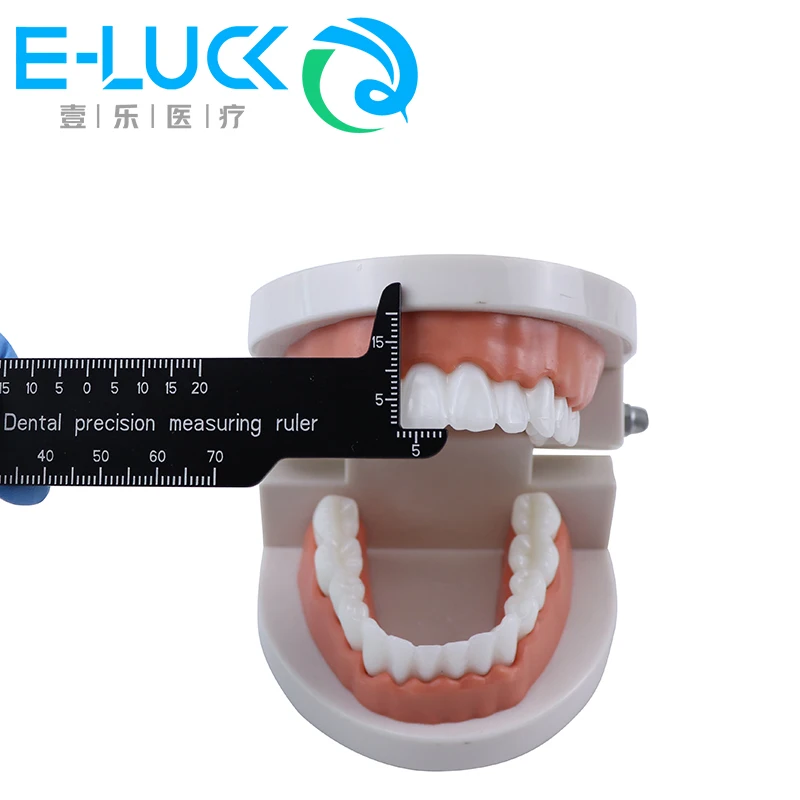 Règle de mesure de précision dentaire, outil médical, échelle de mesure, Instruments endodontiques, dentisterie