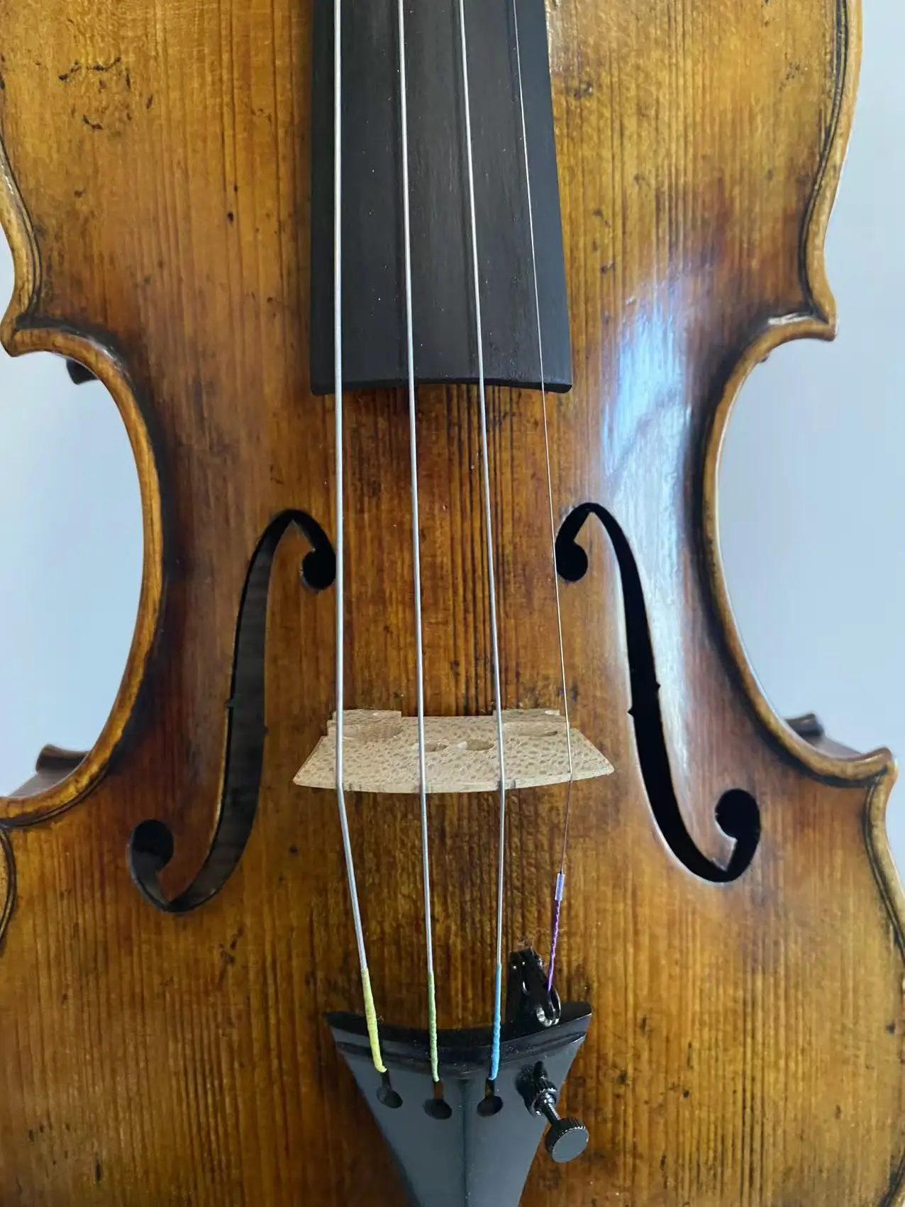 Master 4/4 violin Guarneri model 1742 European  one piece back