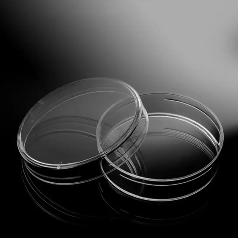 10 Buah Cawan Petri Piring Plastik Steril Transparan Bening Ragi Bakteri untuk Laboratorium Ilmiah Biologis Medis Diterima