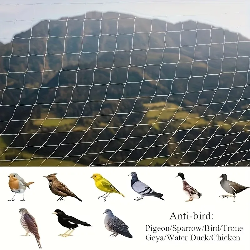 #16 Latest Cat Safety Window Nets Updates