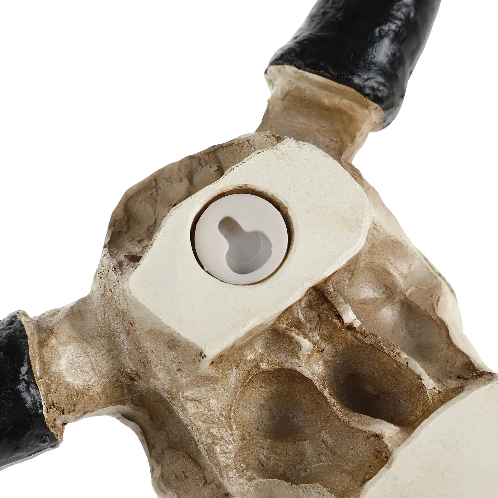Halloween Cow Skull Decor Bull Heads Mascot with Short Horns Cowskull Resin Fake