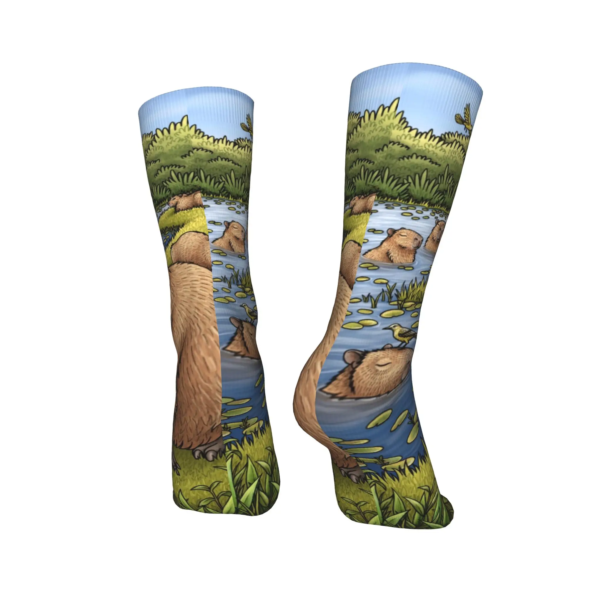 Lustige Strümpfe Capybaras Socken Damen Herren Warme weiche Skateboard Crew Socken