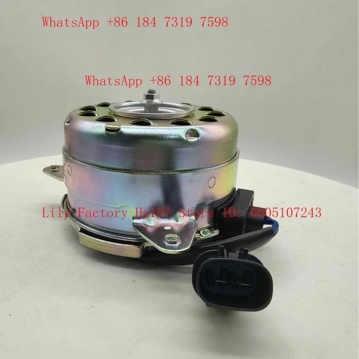 21487-W410P, 21487-W010P Automobile Cooling Fan Motor