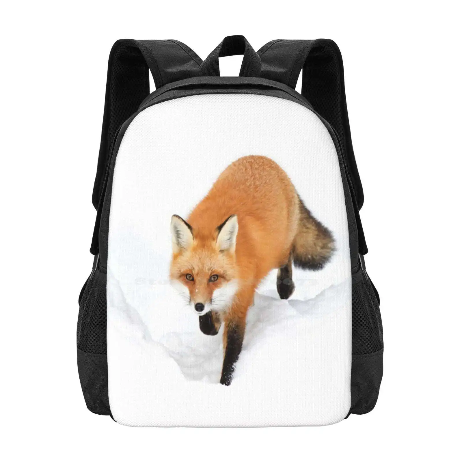 Red Fox In The Snow - Algonquin Park Hot Sale Schoolbag Backpack Fashion Bags Red Fox Algonquin Park Winter Nature Wildlife