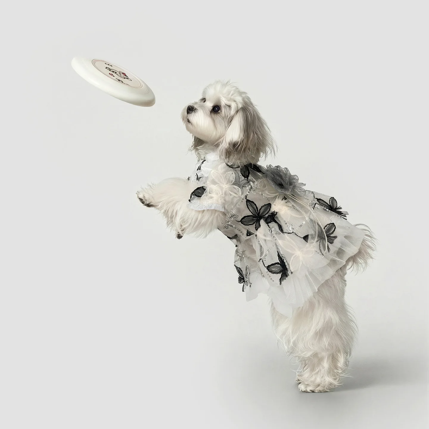 Ropa de malla bordada para perros Yorkshire: chaleco vestido princesa - imagen 3