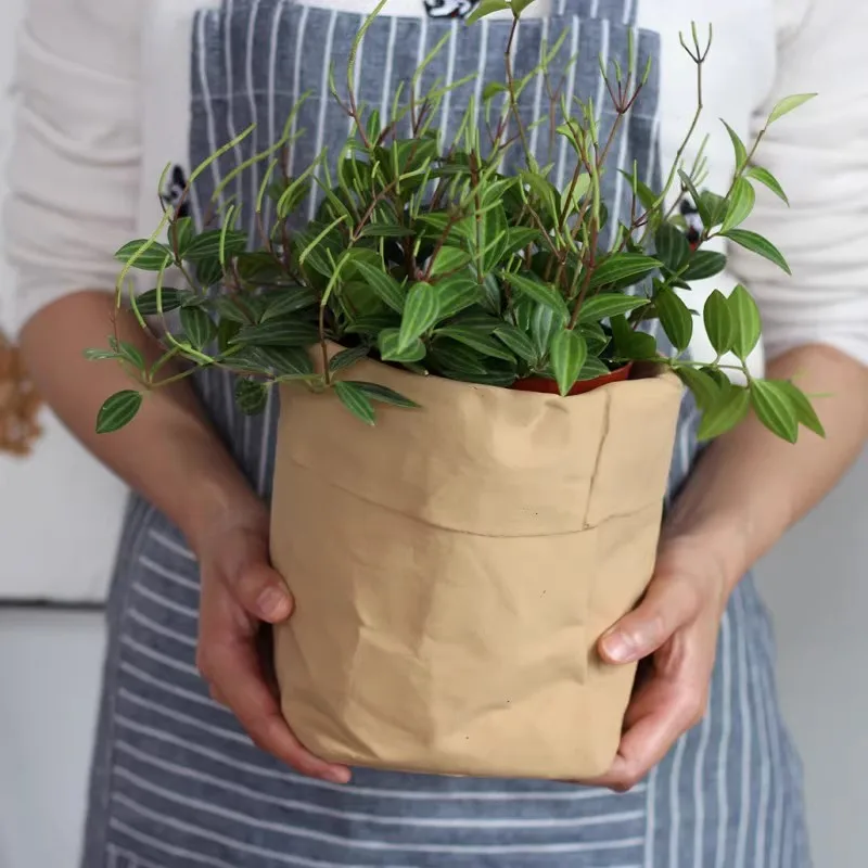 Ins Wind Imitation Kraft Paper Bag, Large Cement Green Plant Pot, Home Storage Bag, Concrete Succulent Pot Mold