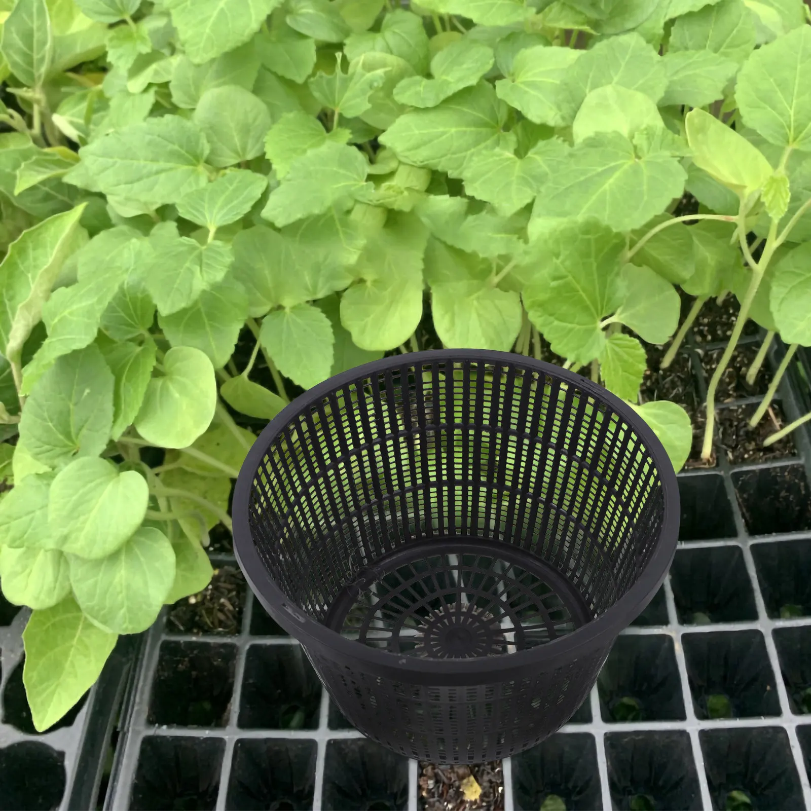 4Pcs Extra Large Hydroponic Mesh Baskets Plant Grow Cups for Healthy Root Development Waterproof Portable Drainage Planters