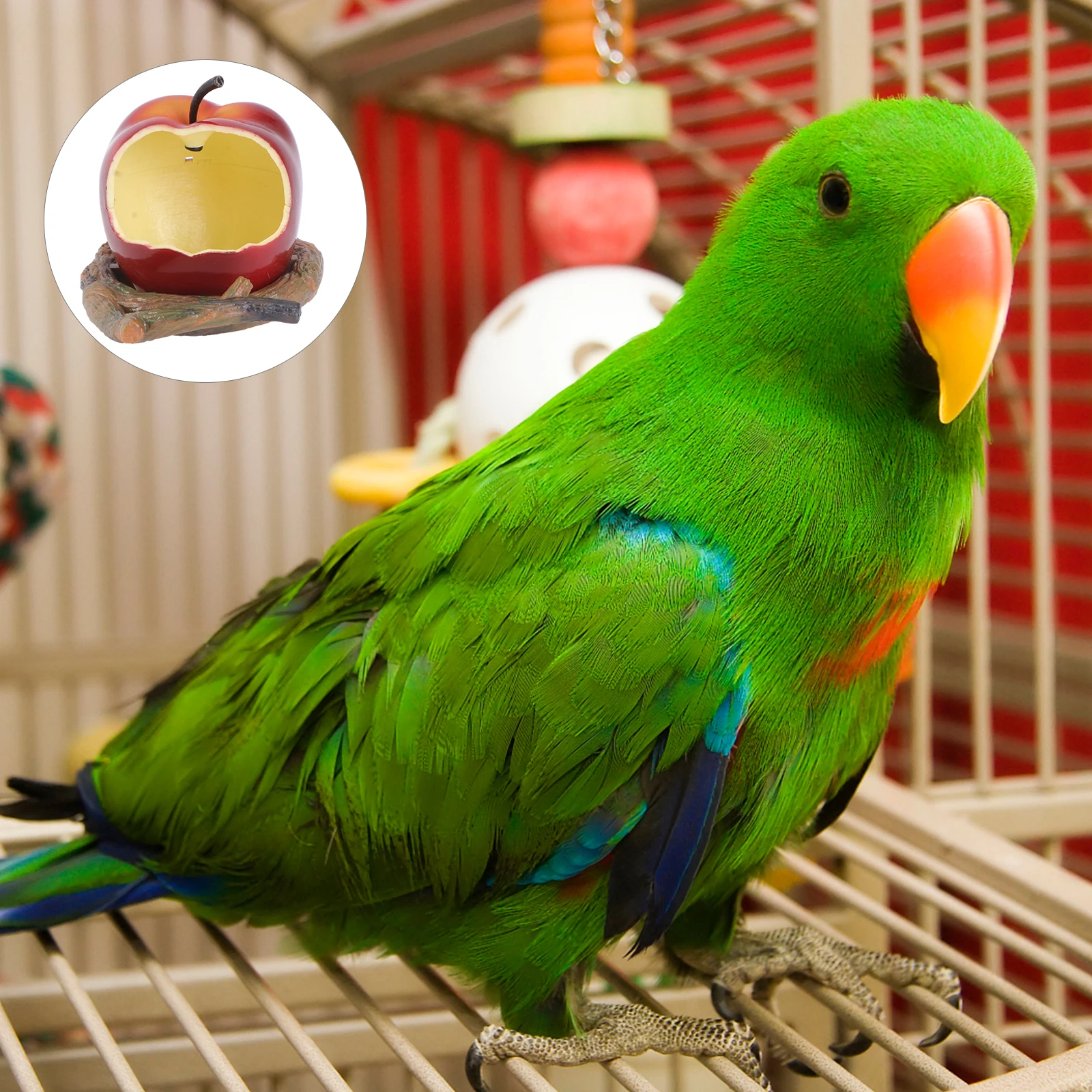 

Parrot Feeding Box Pet Food Bowl Accessories Eating Drinking Feeder Plastic Container Birdcage