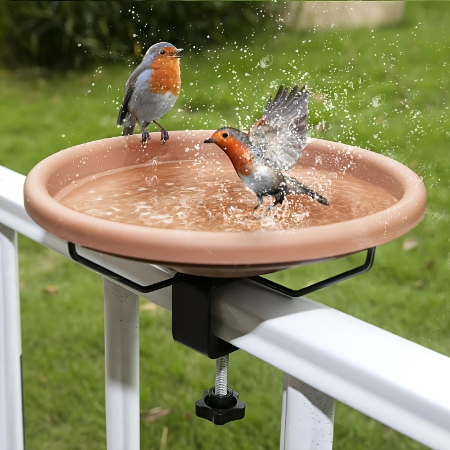 Filles de bain et mangeoire avec pince réglable, balustrade de balcon et de jardin, bassin d'oiseaux à usage touristique pour se baigner et se nourrir, fer