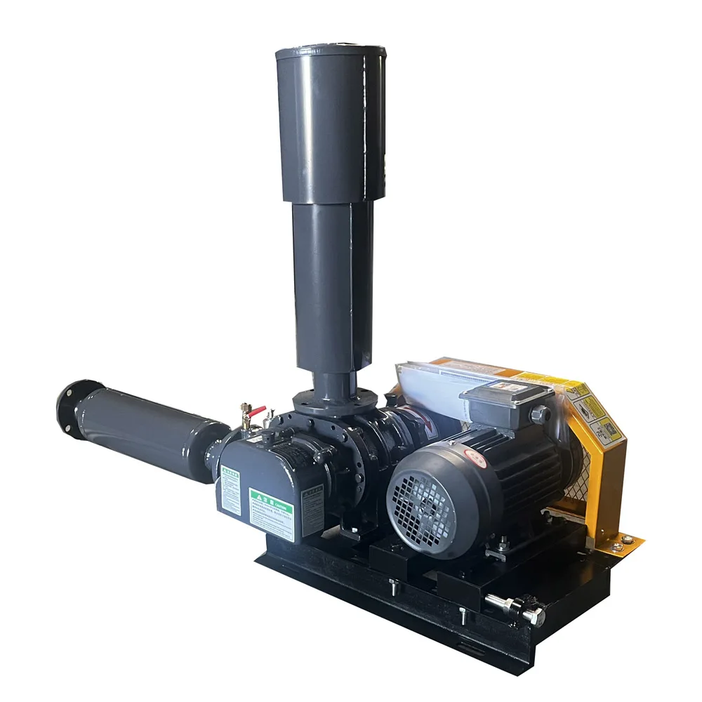 

Hot Selling Factory PriceRoots Blower For Pond Fish Farm Big Air Flow Three Lobe Cast Iron Blades Pump Blower