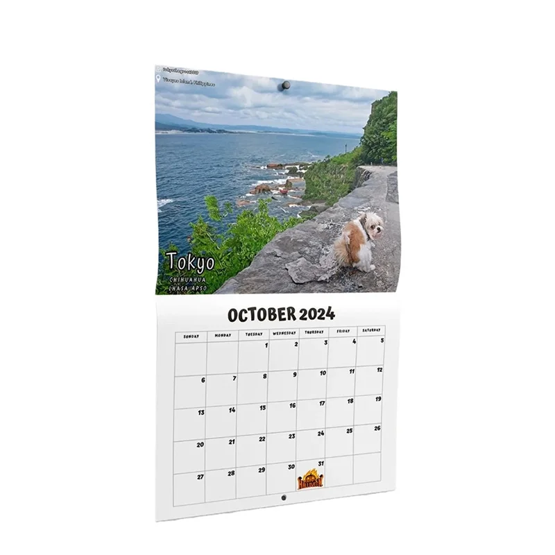 

1 Piece 2024 Calendar Wall Calendar January 2024 From December 11X8.5 Inch For Christmas Gift