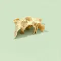 Sand-Xs