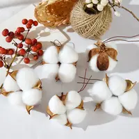PP Cotton Stuffing Fiber Filling, Soft Polyester Toy Stuffing Cotton for DIY Felt Doll Pillow Cushion Crafts Handmade Projects 3