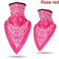Rose red-2pcs