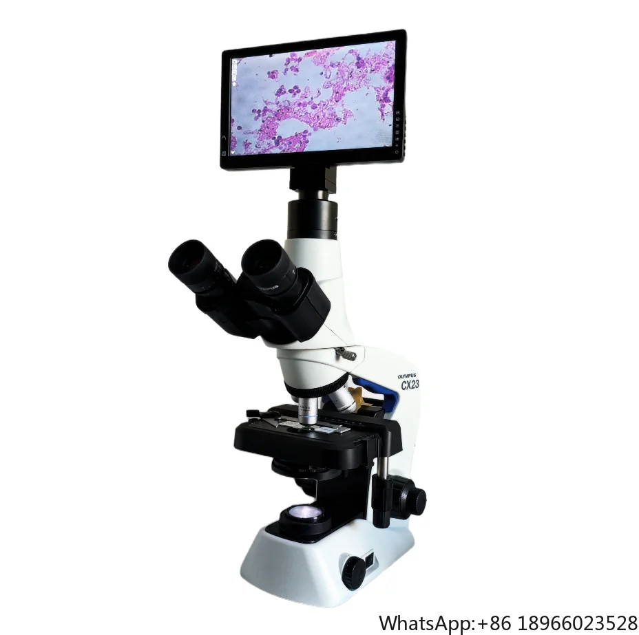 Anti-funga Digital Biological Binocular Microscopes Cx23 Olympus Trinocular Microscope With LED Light For Teaching And Research