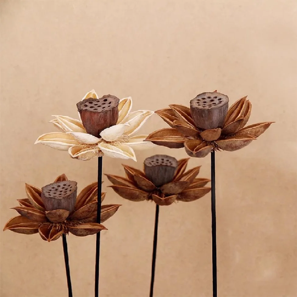 Yunnan dried flower new Chinese style natural decoration wooden lotus flower handmade lotus flower lotus canopy landing shooting