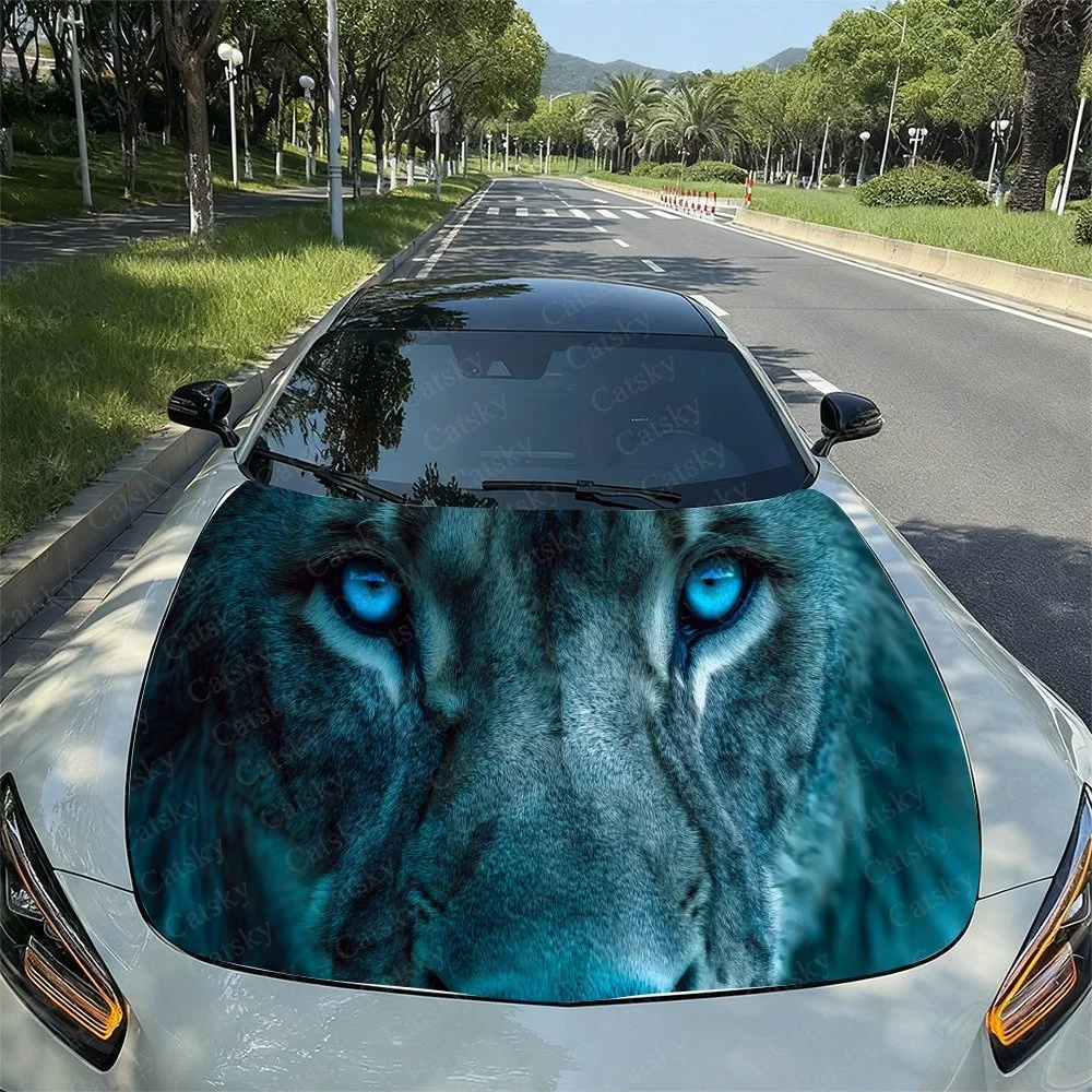 This Striking Car H…