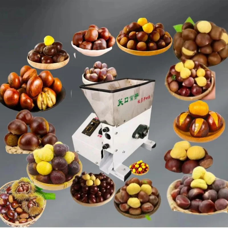 Chestnuts Macadamia Nut Shell Opener Machine Stainless Steel Chestnut Cutter Machine Chestnut Sheller Opening