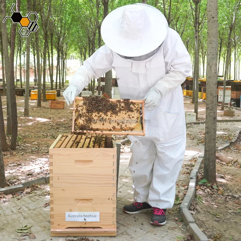 Beekeeping Equipment: Domestic , Price For 2-Deep 10-Frame Australian Beehives