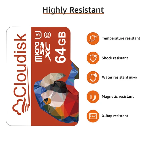 Imagen 2 del producto Tarjeta de memoria Micro SD Cloudisk, 1GB, 2GB, 4GB, 8GB, A1, Clase 10, U3, V30, 32GB, 64GB, 128GB, tarjetas Microsd TF de 16GB para teléfono, tableta y cámara