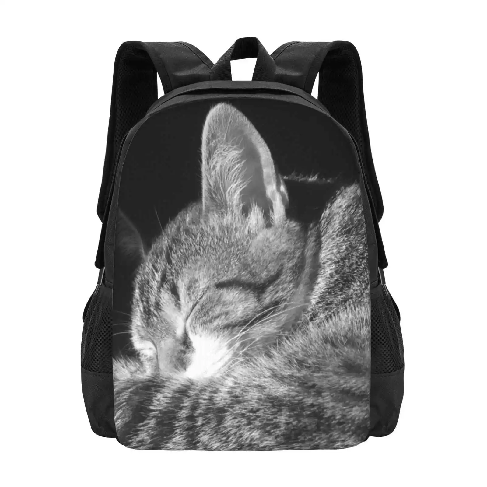 Cat Sleeping In Sun Black And White Cutest Cat Pics Fashion Pattern Design Travel Laptop School Backpack Bag Cat Sleeping In