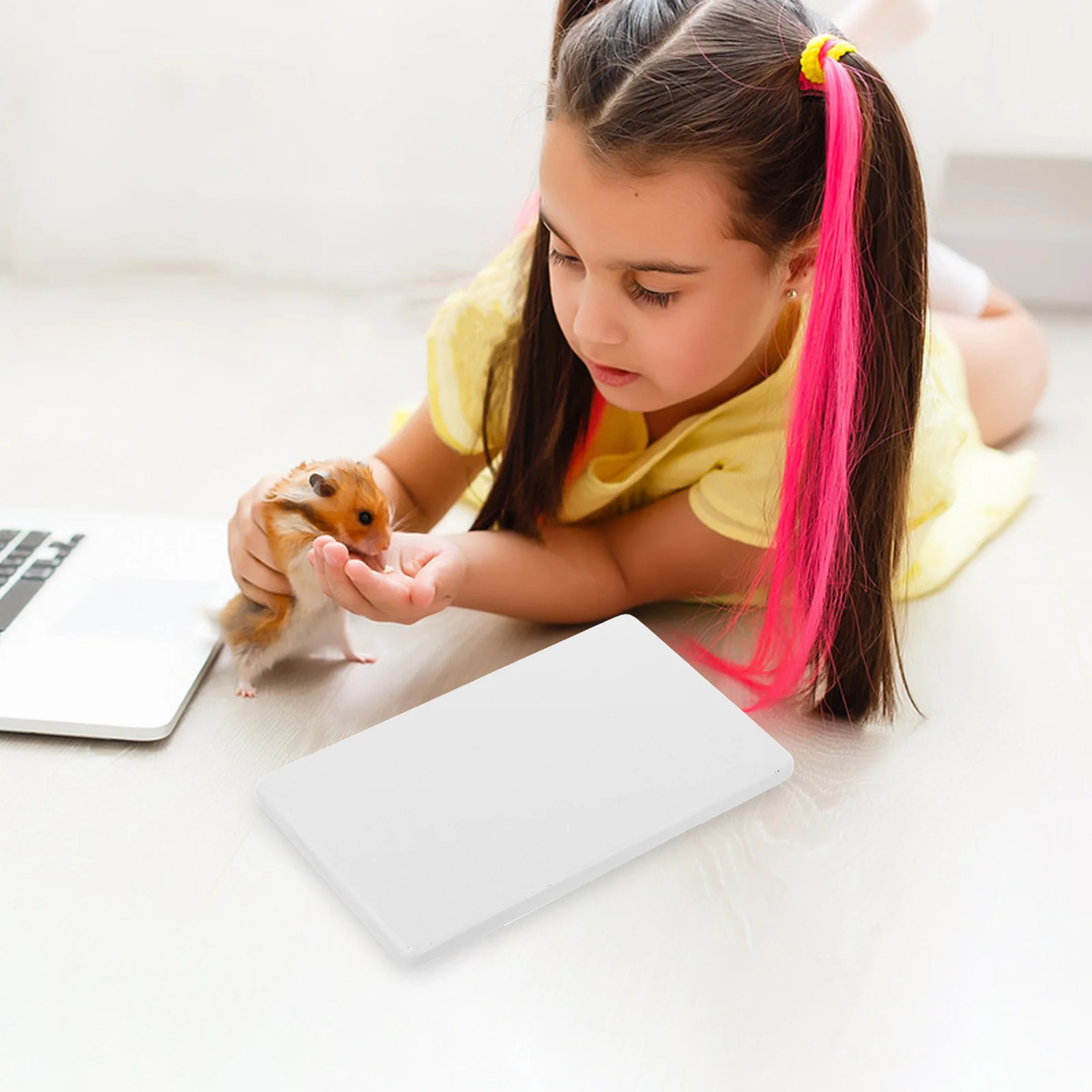 وسادة تبريد للحيوانات الأليفة من الرخام، سطح أملس، حصيرة تبريد صيفية للحيوانات الصغيرة للأرانب والهامستر شنشلاس خنازير غينيا مريحة