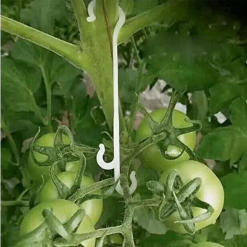 20/50/100Pcs Garden Plant Support Tomato Support J Hook Tomato Plant Holder Binder Vegetables Clamp Anti-crush Hooks Length