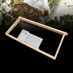 Long Term Formic Acid Evaporator Formic Acid Dispenser Beehive Frame Varroa Destructor Varroa Mites Treatment Beekeeping Tools