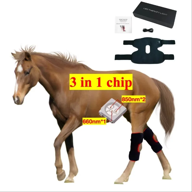 72 Pcs Leds Battery Support Body Care Horse Red Light Therapy Knee Led Red Equipment for Horse Knee Equine