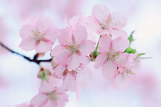 

Wheel Tires Rack Tire Storage Rack for 1/10 On-Road Racing Rally Drift Car Tamiya Kyosho 1/18 1/24 RC Crawler Car