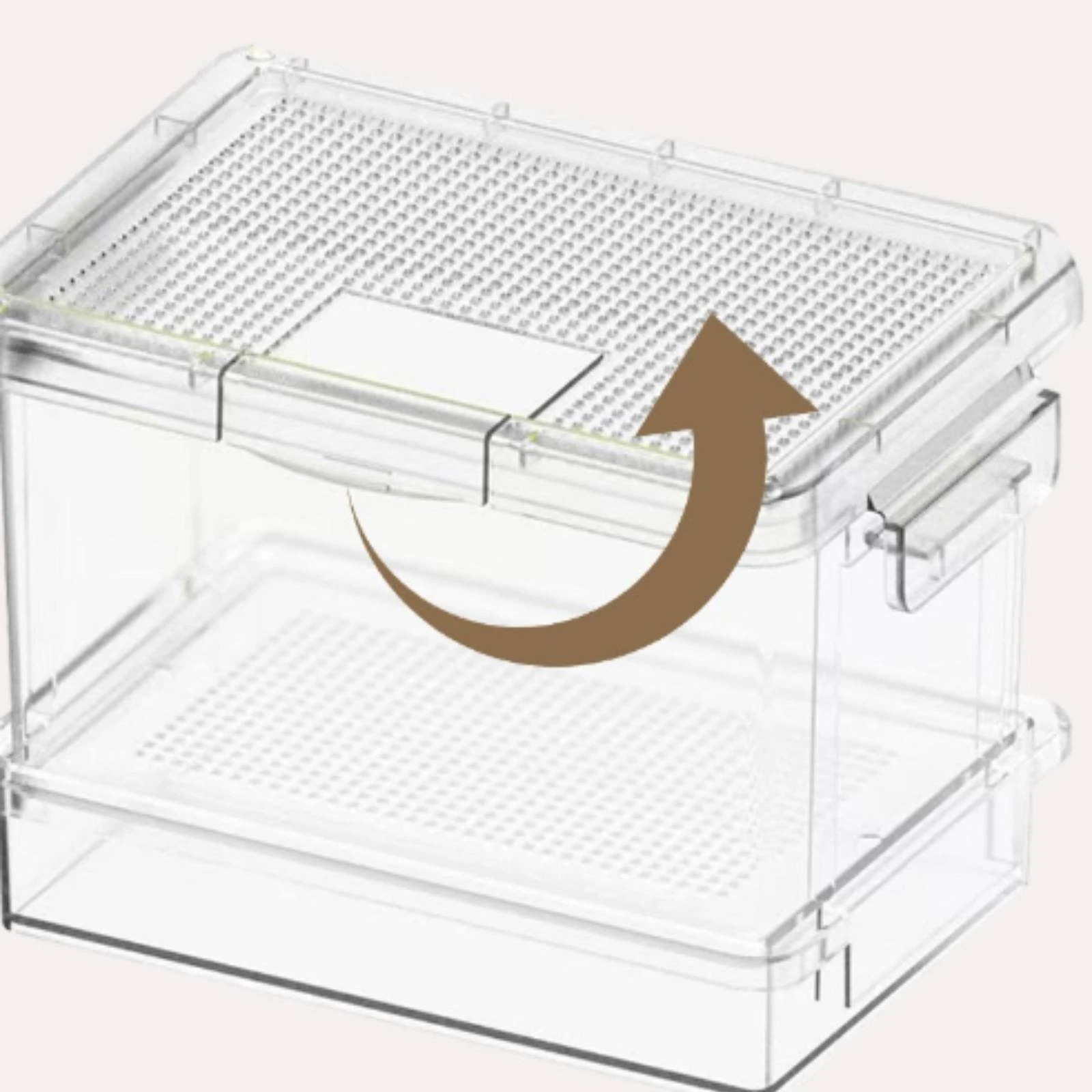 2 Pieces Bug Habitat Tabletop Clear Plastic Breeding Box Pet Enclosure for Entomology Hobbyists, Home, Workbench