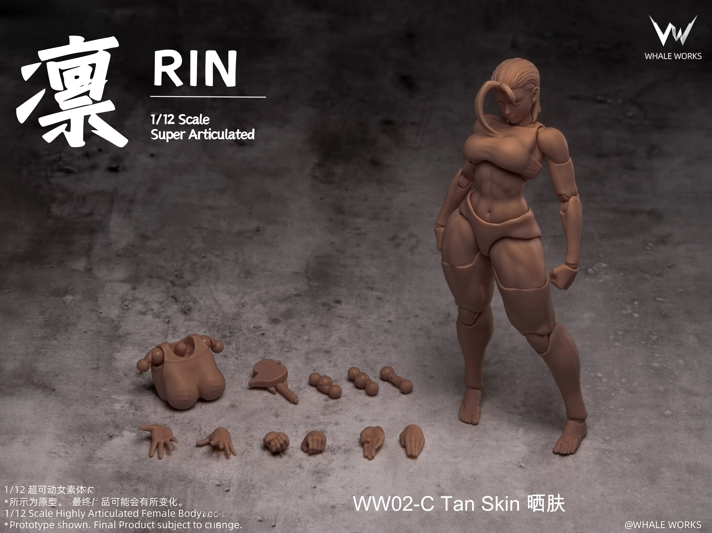 WHALE WORKS 1/12 スケール超可動女性ボディ人形可動目付き